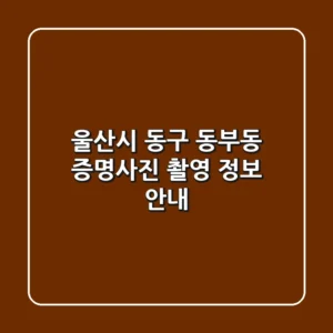 울산시 동구 동부동 증명사진 촬영 정보 안내