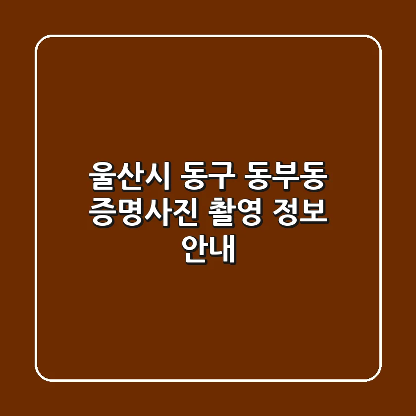 울산시 동구 동부동 증명사진 촬영 정보 안내