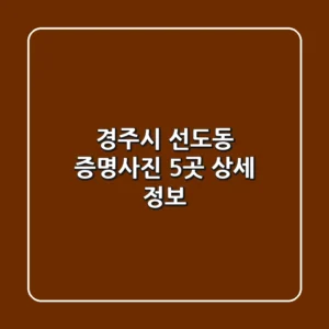 경주시 선도동 증명사진 5곳 상세 정보