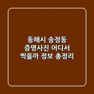 동해시 송정동 증명사진, 어디서 찍을까? 정보 총정리