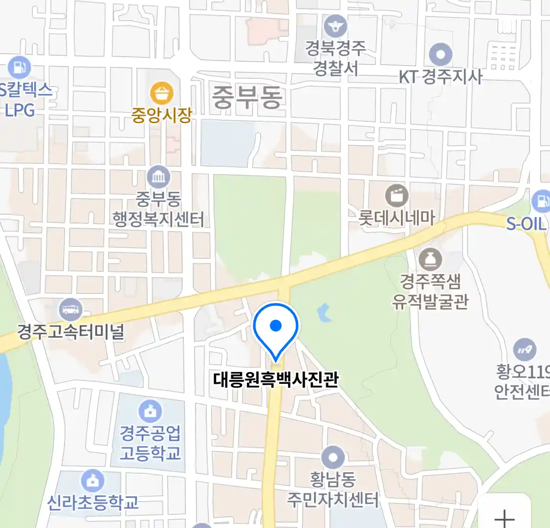 대릉원흑백사진관 위치