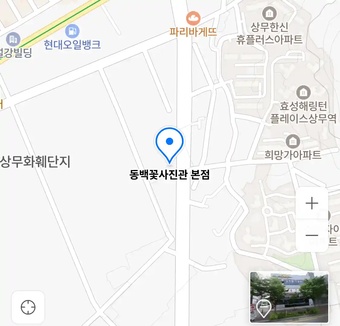 동백꽃사진관 본점 위치
