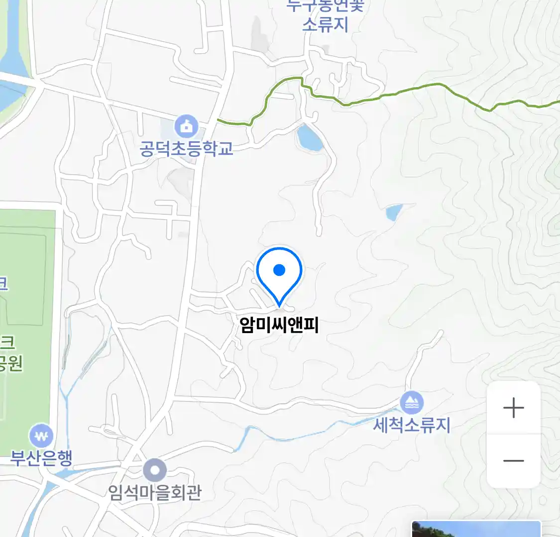 암미씨앤피 위치