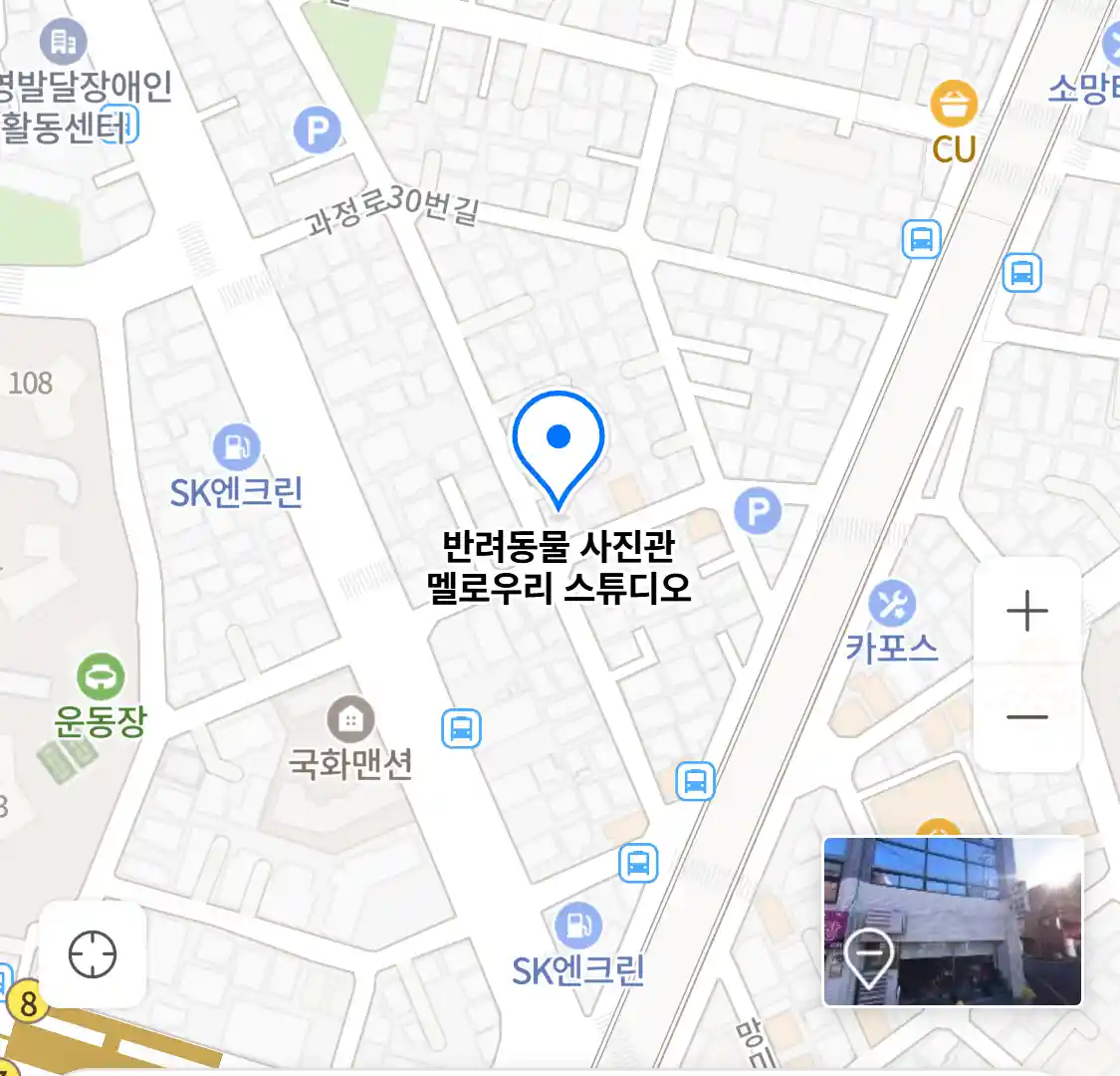 반려동물 사진관 멜로우리 스튜디오 위치