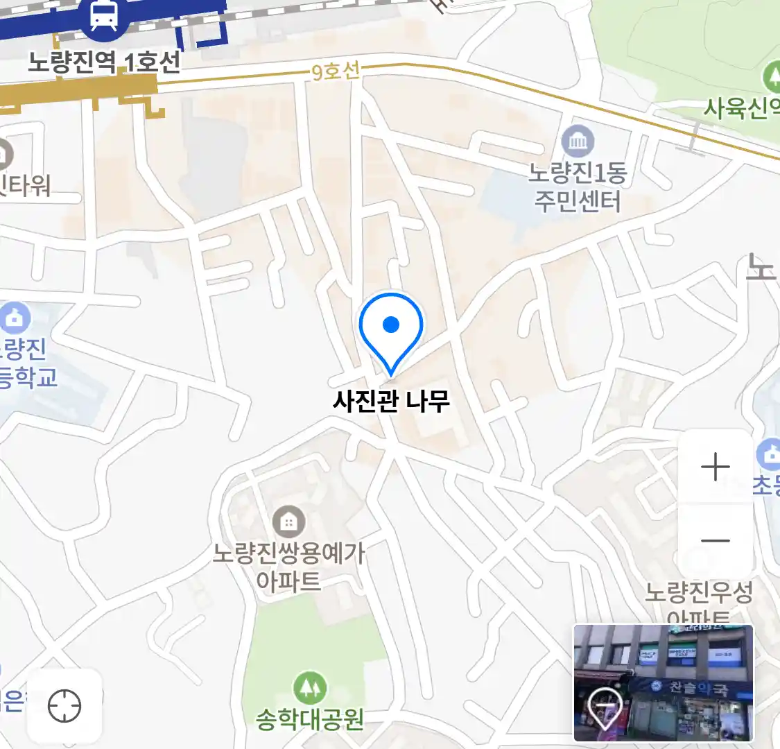 사진관 나무