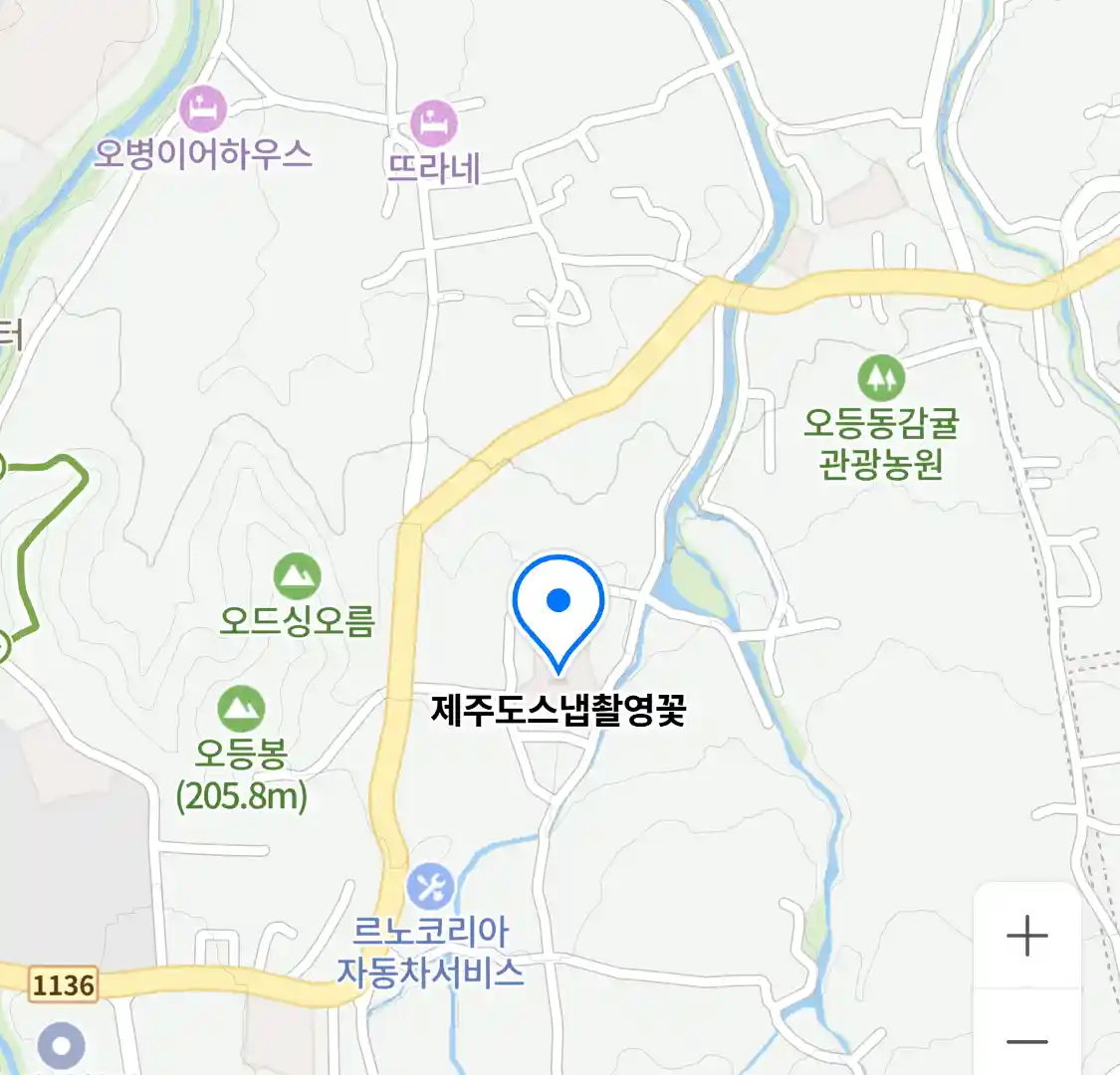 제주도스냅촬영꽃 위치