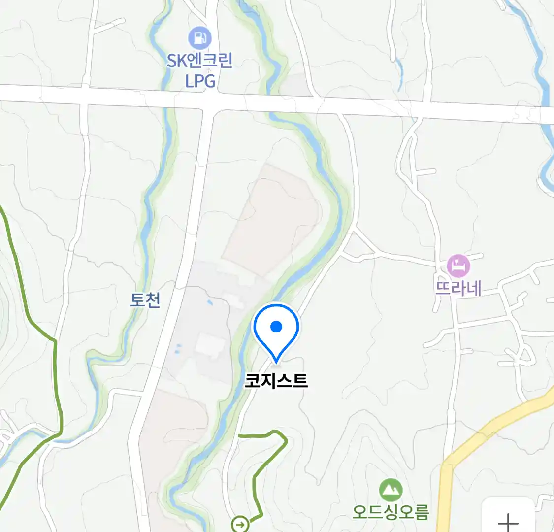 코지스트 위치