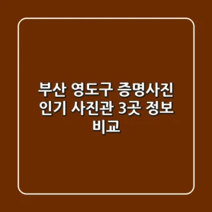 부산 영도구 증명사진: 인기 사진관 3곳 정보 비교