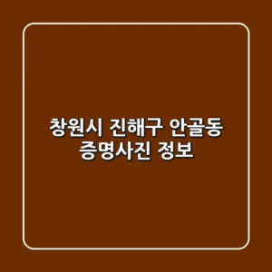 창원시 진해구 안골동 증명사진 정보