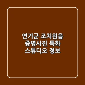 연기군 조치원읍 증명사진 특화 스튜디오 정보