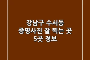 강남구 수서동 증명사진 잘 찍는 곳 5곳 정보