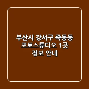 부산시 강서구 죽동동 포토스튜디오 1곳 정보 안내