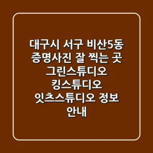 대구시 서구 비산5동 증명사진 잘 찍는 곳: 그린스튜디오, 킹스튜디오, 잇츠스튜디오 정보 안내