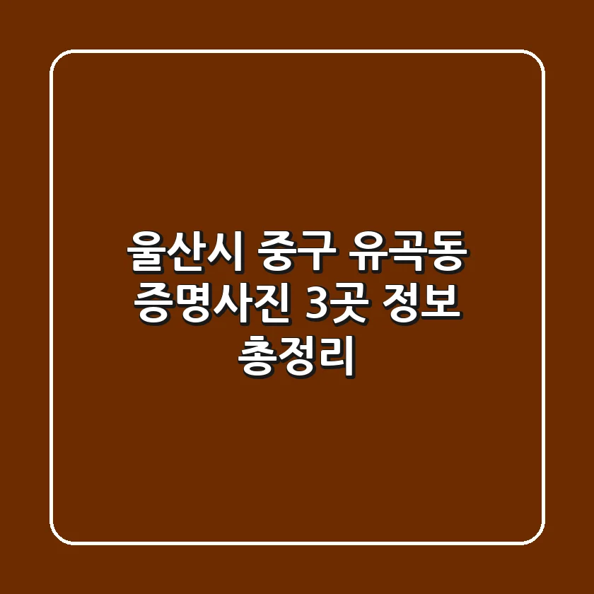 울산시 중구 유곡동 증명사진, 3곳 정보 총정리