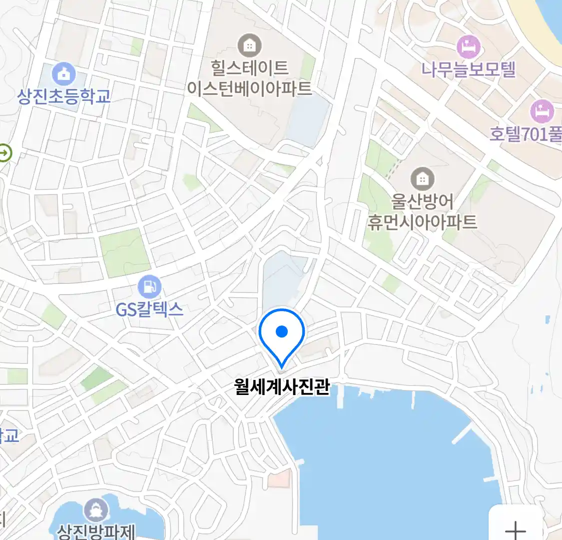 월세계사진관 위치