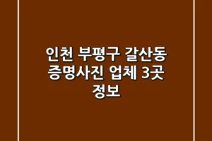 인천 부평구 갈산동 증명사진 업체 3곳 정보
