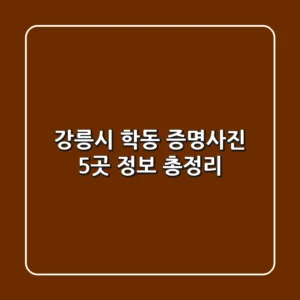 강릉시 학동 증명사진 5곳 정보 총정리