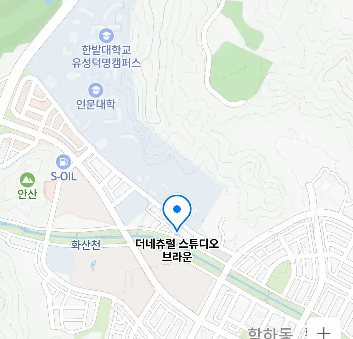 더네츄럴 스튜디오 브라운 위치