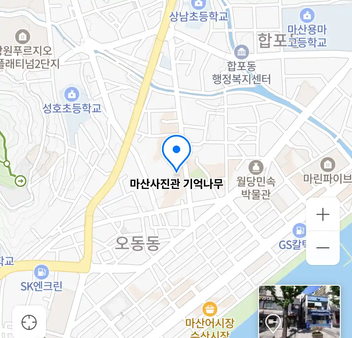 마산사진관 기억나무 위치