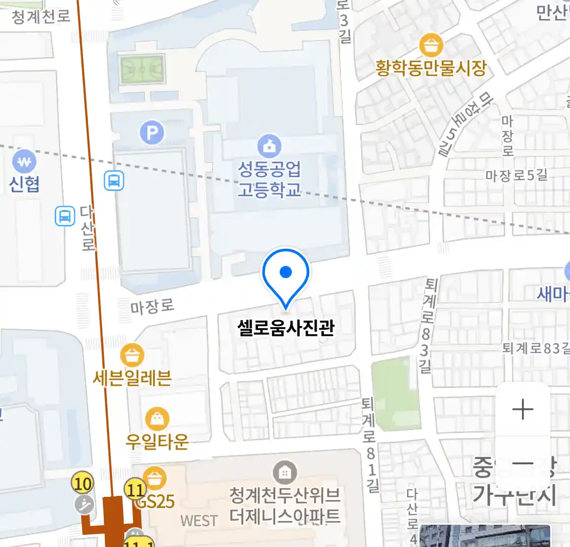 셀로움사진관 위치