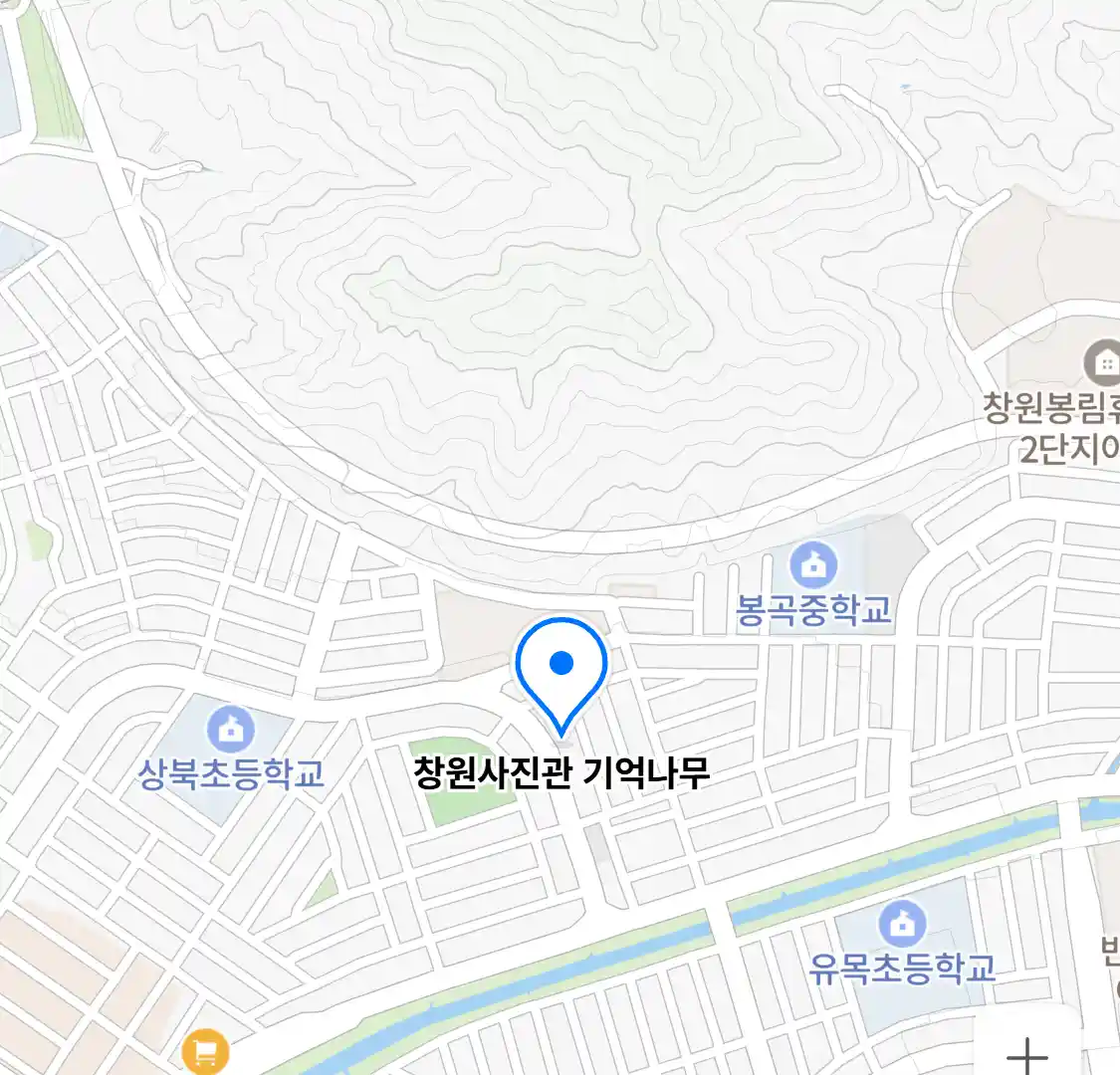 창원사진관 기억나무