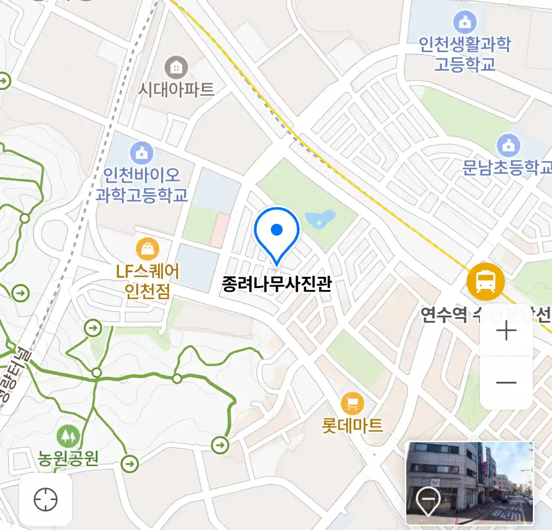 종려나무사진관 위치