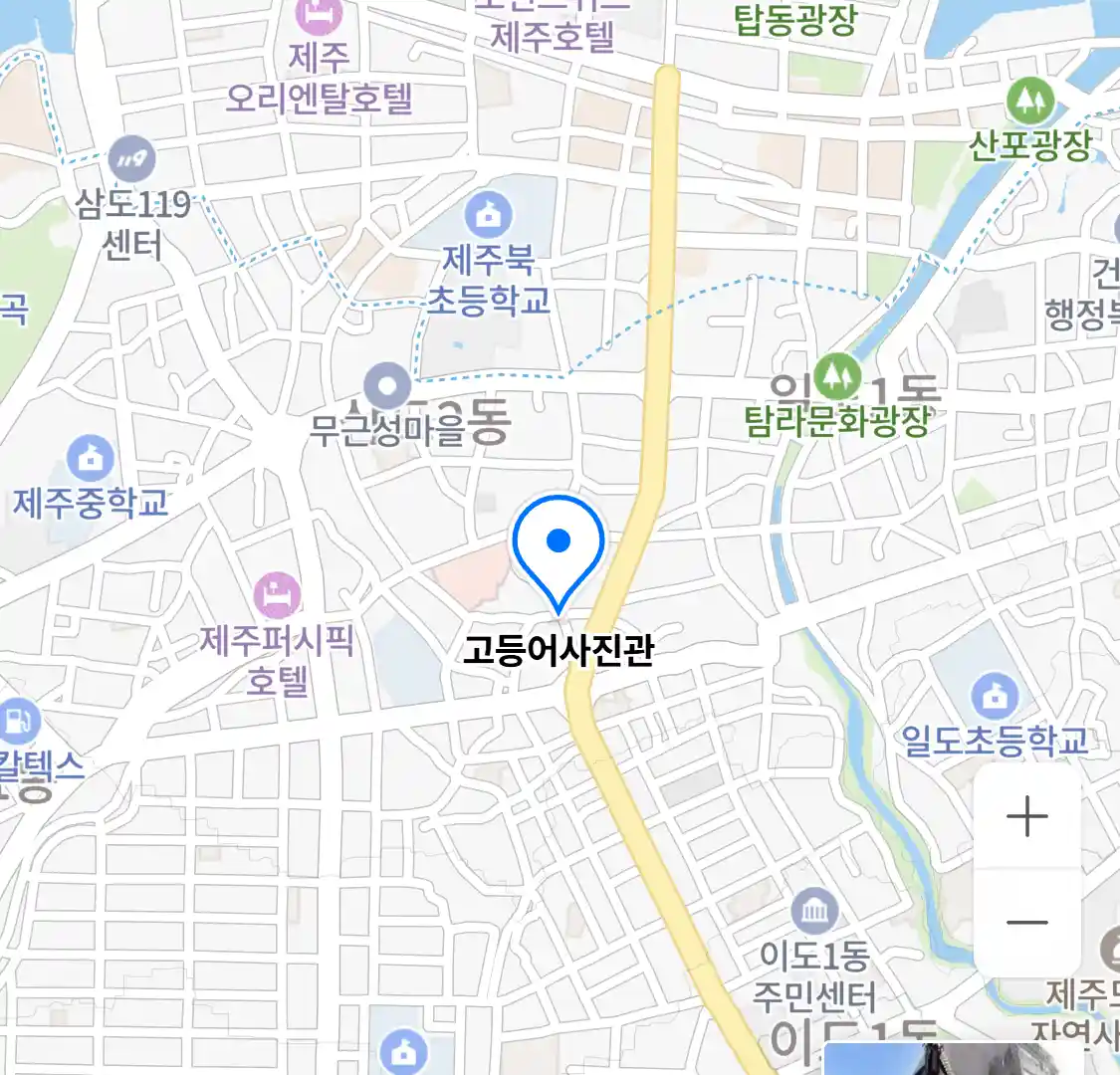 고등어사진관 위치