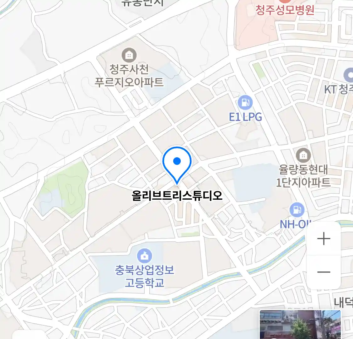 올리브트리스튜디오 위치