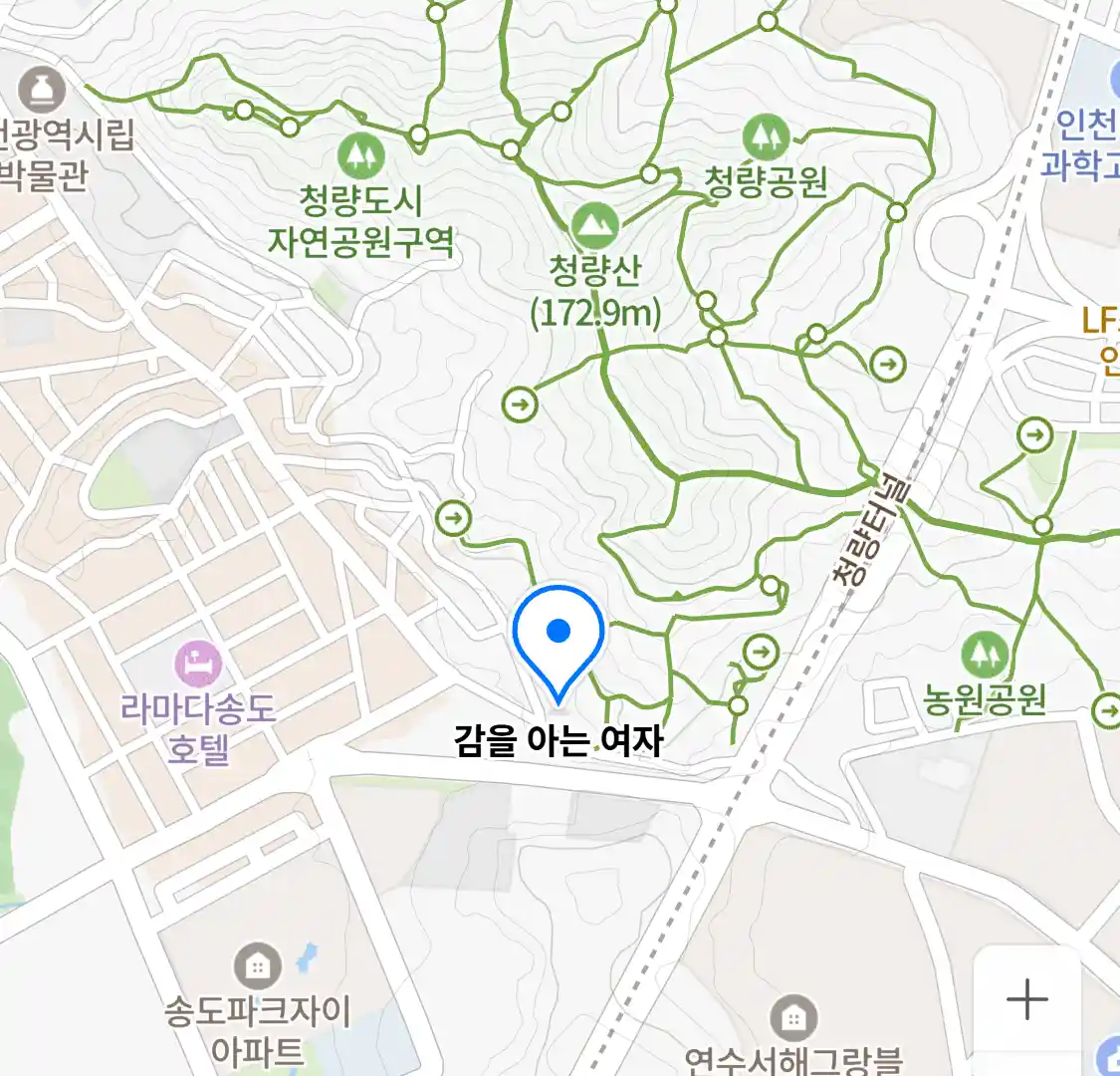 감을 아는 여자 위치