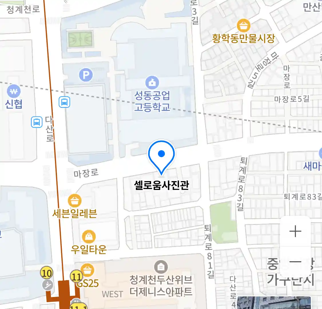 셀로움사진관 위치