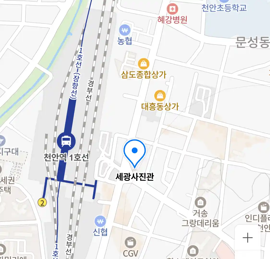 세광사진관 위치