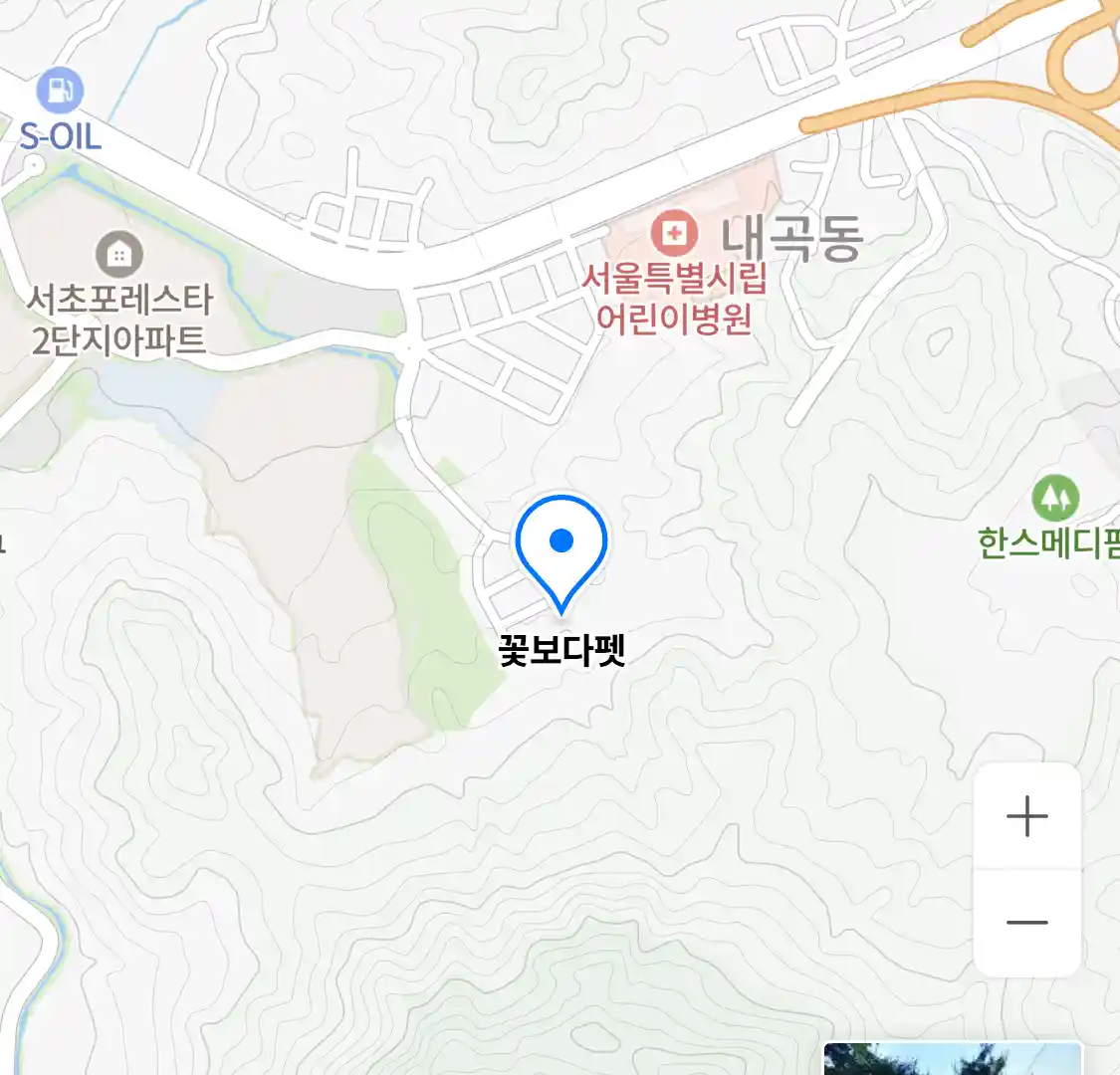 꽃보다펫 위치