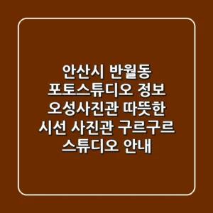 안산시 반월동 포토스튜디오 정보: 오성사진관, 따뜻한 시선 사진관, 구르구르 스튜디오 안내