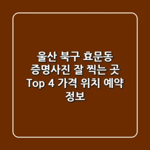 울산 북구 효문동 증명사진 잘 찍는 곳 Top 4: 가격, 위치, 예약 정보