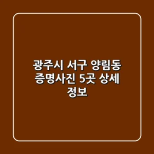광주시 서구 양림동 증명사진 5곳 상세 정보