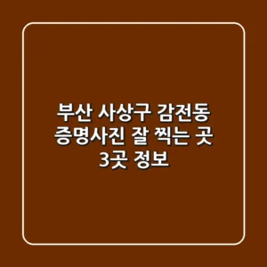 부산 사상구 감전동 증명사진 잘 찍는 곳 3곳 정보