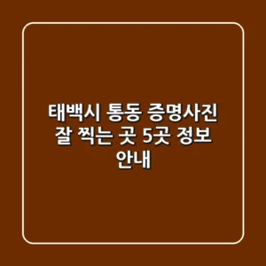 태백시 통동 증명사진 잘 찍는 곳 5곳 정보 안내