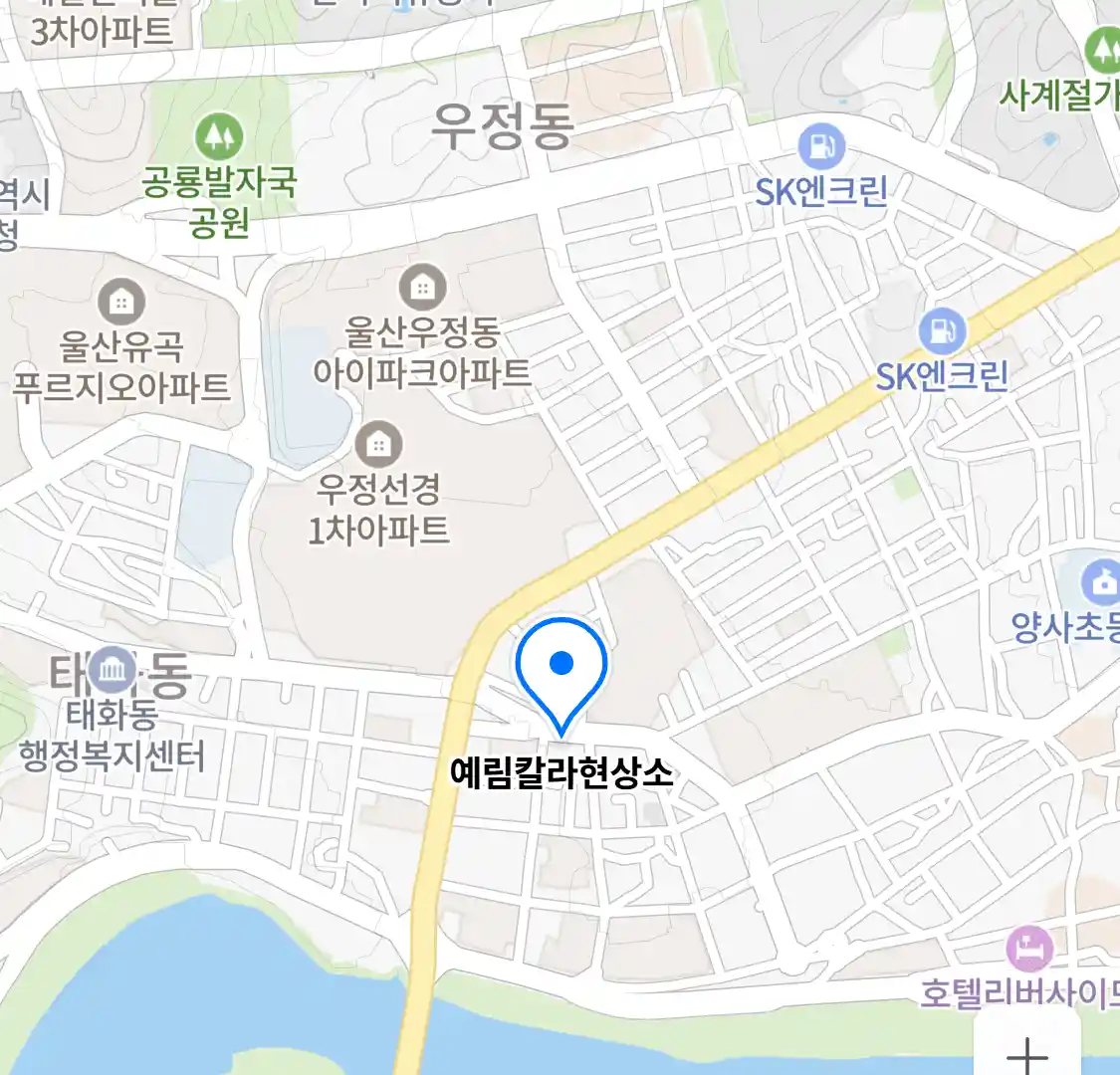 예림칼라현상소 위치