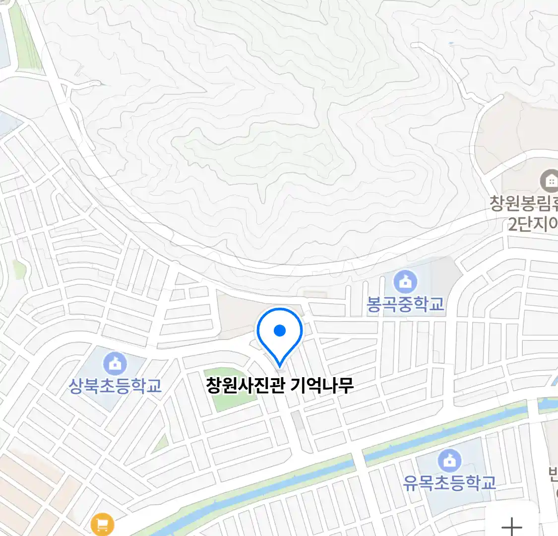 창원사진관 기억나무 위치